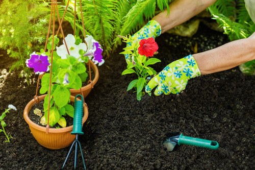 The image depicts a person planting a red flowering plant into dark, well-tilled soil within a garden setting. The individual is wearing bright, patterned gardening gloves featuring blue and yellow floral designs, and their arms are visible as they hold the plant carefully. In the foreground, there are two terracotta pots hanging from a wooden or metal frame, each containing colorful flowers, possibly petunias, with purple, white, and violet blooms. Nearby, a green-handled garden trowel rests on the soil, indicating active gardening work. The background shows lush green foliage, including ferns and other leafy plants, contributing to the vibrant and healthy appearance of the garden. The scene suggests a tidy, landscaped outdoor space suitable for gardening and landscaping services such as planting, tending, and maintaining flower beds and garden beds in a residential area in Croydon or nearby London suburbs.