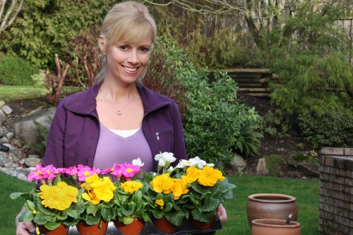 A smiling woman with blonde hair, dressed in a purple jacket and white top, stands outdoors in a lush garden. She holds a tray of small terracotta pots containing bright yellow, pink, and white flowering plants. The garden background includes green grass, various shrubs, and trees, with a set of black wooden steps leading up a slight incline. To her right, there are two empty terracotta pots placed on the ground. The scene appears to be on a mild, sunny day, highlighting the vibrant colours of the flowers and greenery. This setting showcases typical elements of outdoor gardening and plant care, aligned with professional gardening and landscaping services such as hedge trimming and plant maintenance that Hedge Trimming Croydon offers in the Croydon area, inferred from the visible environment and natural details.