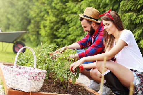 Profesional Hedge Trimming Croydon Services