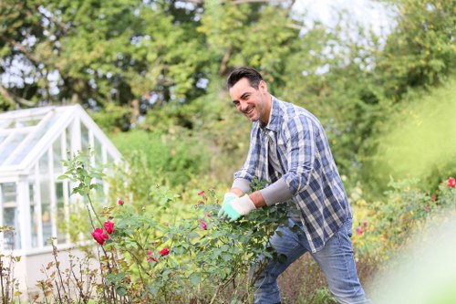 Seasonal Hedge Maintenance by Croydon Experts